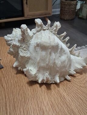 Large Decorative White Sea Shell Sculpture